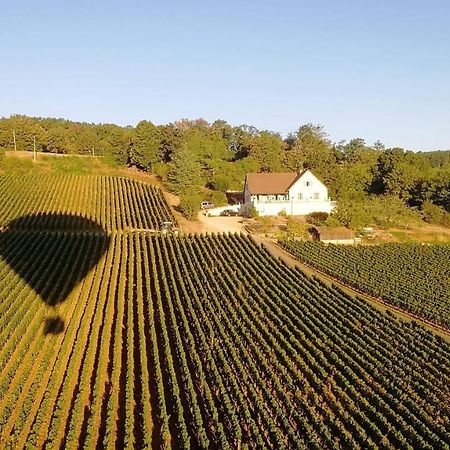 Le Mont Laurent Buxy エクステリア 写真